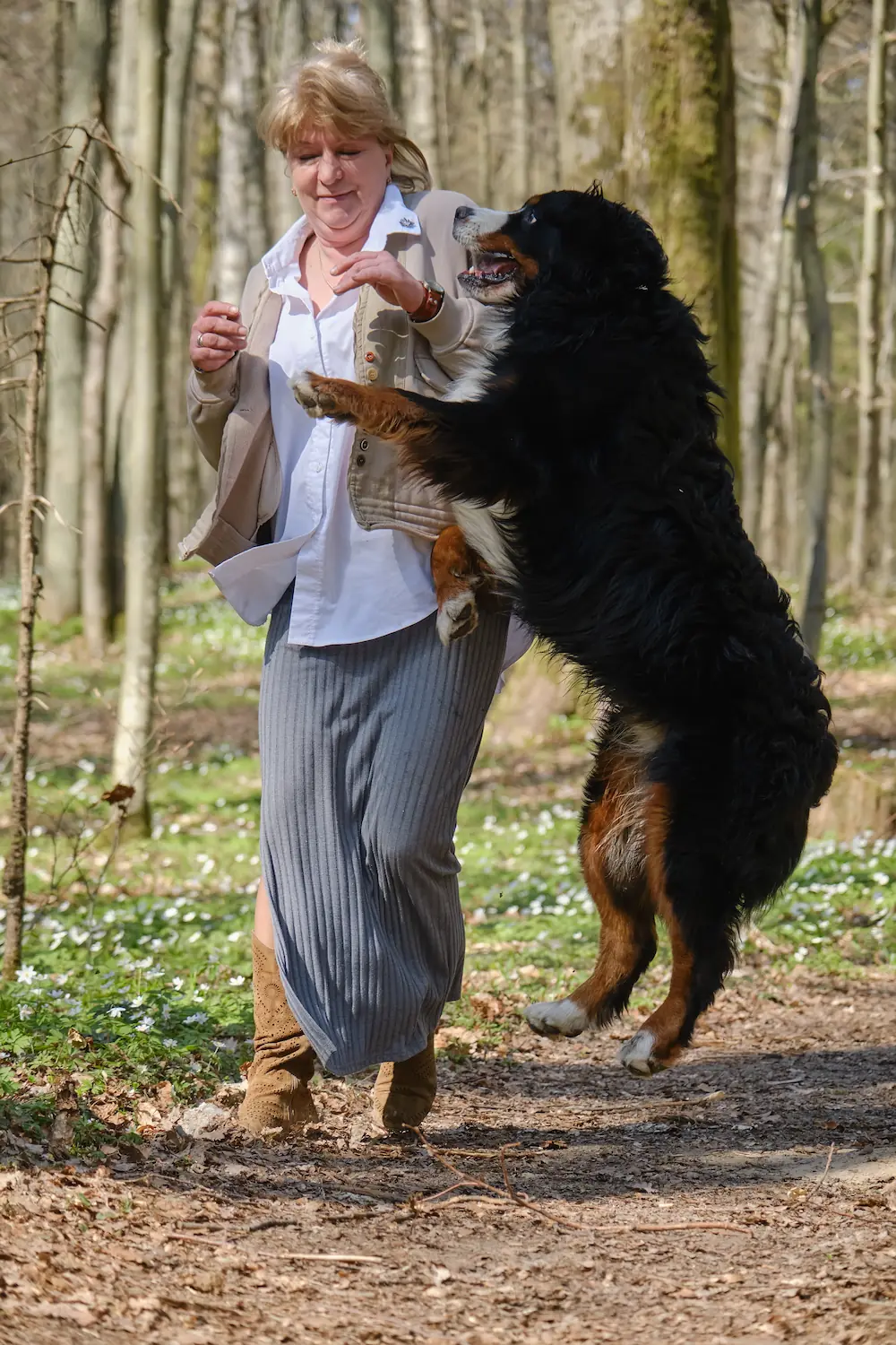 jumping dog on woman