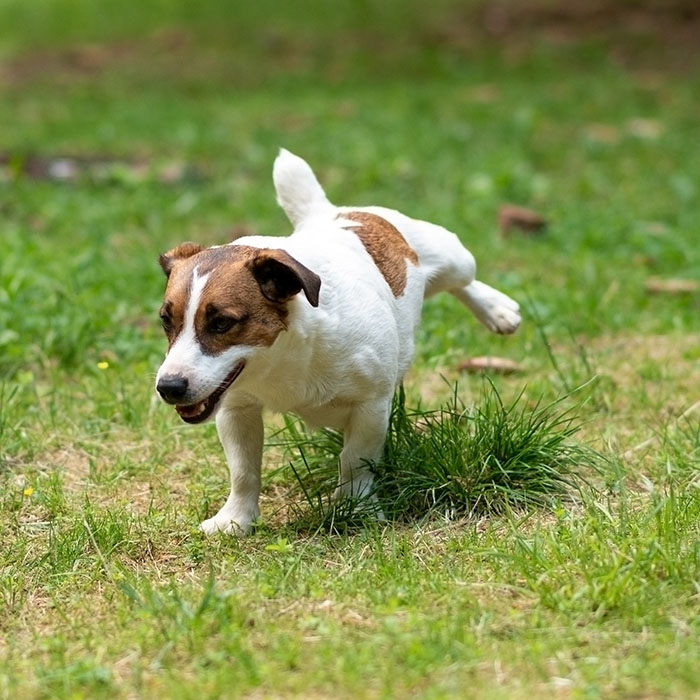 Common Challenges in Potty Training img Common Challenges in Potty Training img